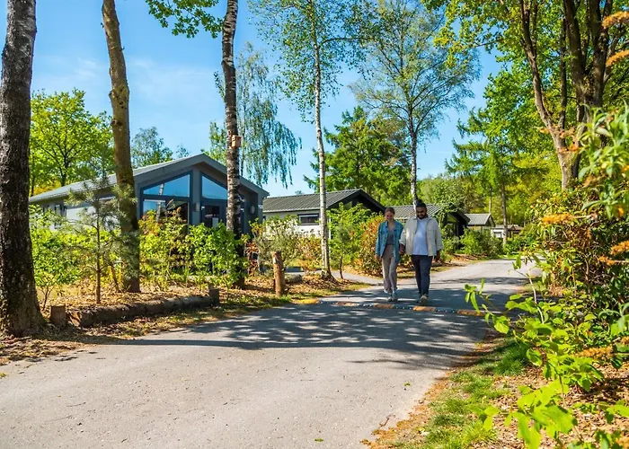 홀리데이파크 Europarcs De Wije Werelt