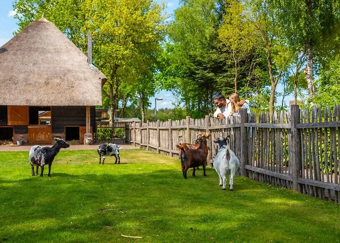 Europarcs De Wije Werelt Prázdninový areál