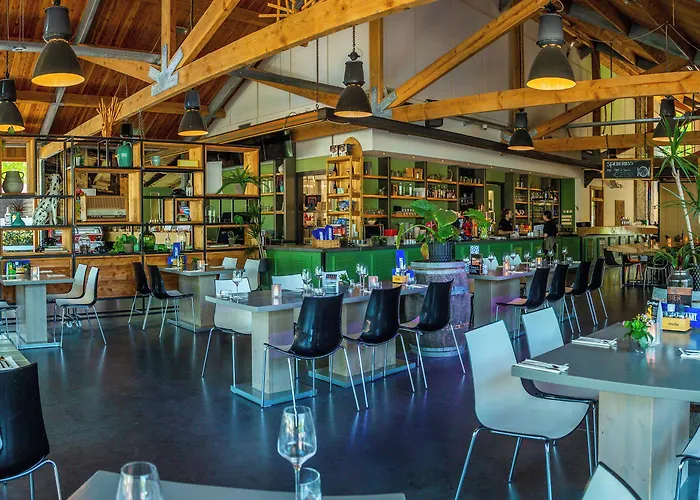 Europarcs De Wije Werelt Parco vacanze